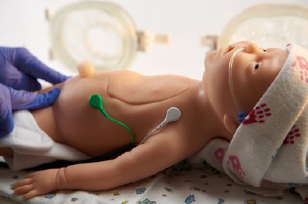 Picture of Resuscitaton Simulator Life/Form® Male / Female Interchangeable NeonatalLF01420