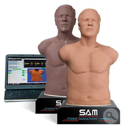 Picture of Student Auscultation Manikin SAM 3G Male718-8811