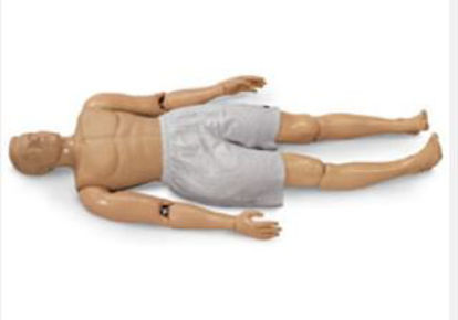 Picture of Resuce Randy Male 185 lbs.149-1480NS