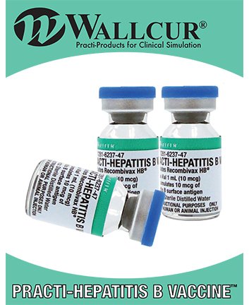 Picture of PRACTI-HEPATITIS B, VL TEACHING MODULE D/SMOD459