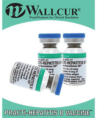 Picture of PRACTI-HEPATITIS B, VL TEACHING MODULE D/SMOD459