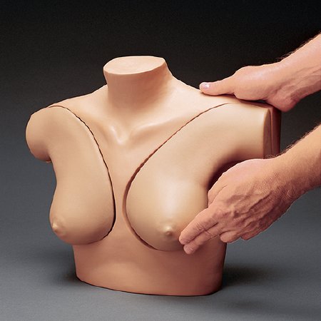 Picture of Breast Self-Exam SimulatorSB32869