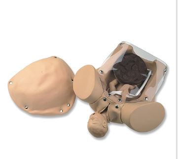 Picture of Obstetrical Manikin_Black110-180 B