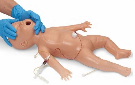 Picture of Nursing Skills and ALS Simulator Life/Form® Newborn 7-1/2 lbs.LF01400