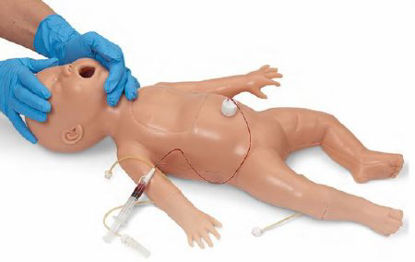 Picture of Nursing Skills and ALS Simulator Life/Form® Newborn 7-1/2 lbs.LF01400