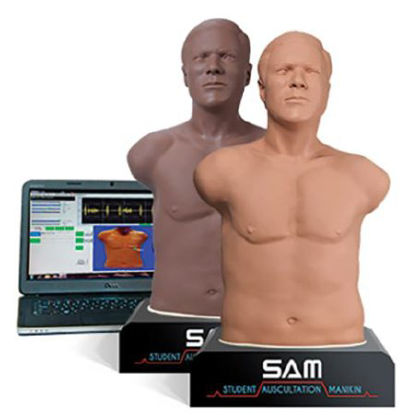 Picture of Student Auscultation ManikinLight SAM 3G Male718-8810