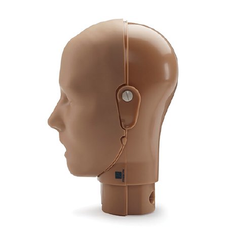 Picture of Replacement Manikin Head Prestan®RPP-AHEAD-1-DS