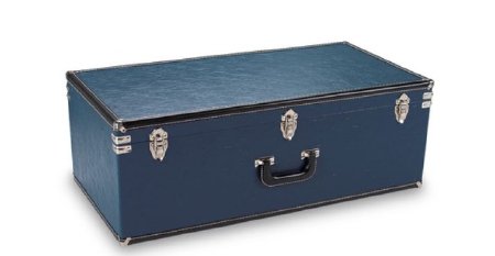 Picture of Hard Carry Case for Torso Simulators Nasco™LF03467