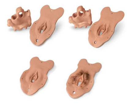 Picture of Complete Set of Specialized Examination Modules Life/Form®LF01244