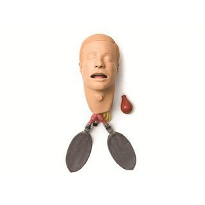 Picture of Replacement HeadAnd Intubation With Lung300-10150