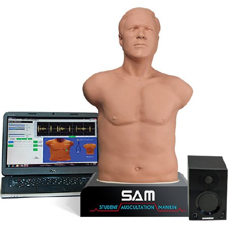 Picture of Student Auscultation Manikin Sam 3G718-8802