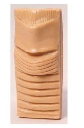 Picture of Adult Cricothyrotomy Cartilage Life/Form®LF01134