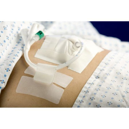 Picture of Holder, Tube Cath-Secure™ Single Hook and Loop Tab, Hypoallergenic Tape, Butterfly Design5445-2