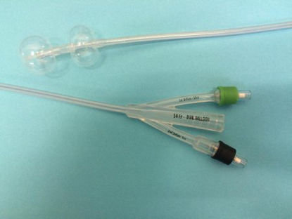 Picture of Foley Catheter Duette™ 2-Way Subsumed Tip 10 cc Proximal Balloon, 5 cc Distal Balloon 18 Fr. SiliconeD-10018
