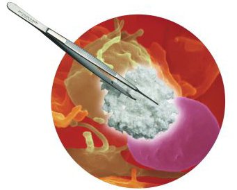 Picture of Hemostatic Sponge Helistat® 1/2 X 1 Inch 18 per Pack Sterile1690ZZ