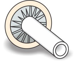 Picture of Male External Catheter Uro-Con® Non-Adhesive Latex Medium51023050