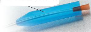 Picture of Urethral Catheter FloCath® QUICK™ Straight Tip Hydrophilic Coated PVC 8 Fr. 16 Inch220400080