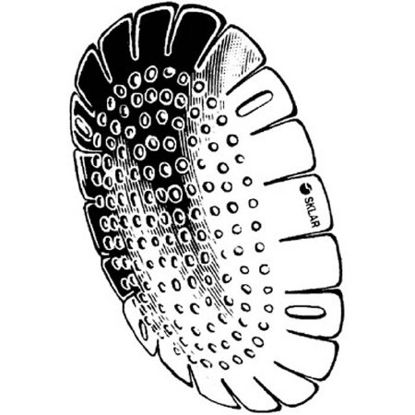 Picture of Eye Protector Fox One Size Fits Most65-7635