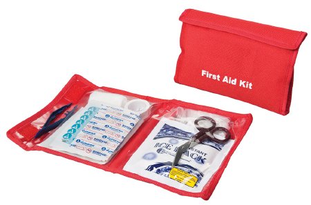 Picture of First Aid Kit Pouch40-155