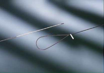 Picture of Catheter Stylet Bard® 6 Fr., Malleable Tip004036