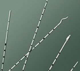 Picture of Ureteral Catheter Bard® Cone Tip Polyurethane 5 Fr. 28 Inch138008