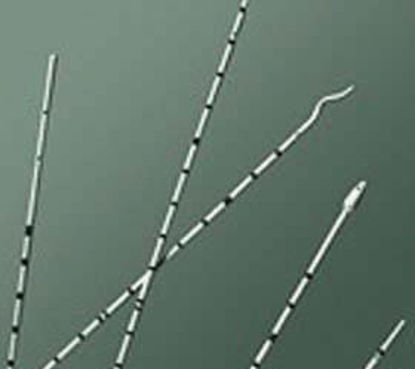 Picture of Ureteral Catheter Bard® Cone Tip Polyurethane 5 Fr. 28 Inch138008