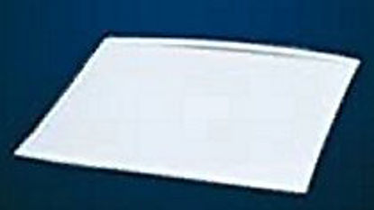 Picture of Surgical Eye Wick Ivalon® PVA (Polyvinyl Acetal) 20 mm 2 Count Pack SterileQ604206