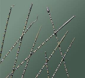 Picture of Ureteral Catheter Blasucci Blassucci Spiral Tip Woven Nylon / Dacron 4 Fr. 28 Inch037504