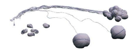 Picture of Surgical Tonsil Sponge Bioseal® X-Ray Detectable Cotton 1 Inch Diameter 5 Count Card Sterile13205/50