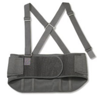 Picture of Back Support ProFlex® Standard, 2X-Large 9 Inch Adult11106