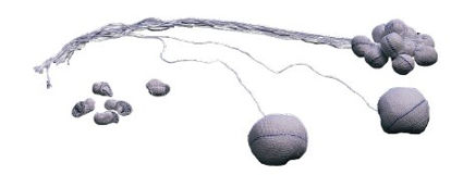 Picture of Surgical Tonsil Sponge Bioseal® X-Ray Detectable Cotton 1-1/4 Inch Diameter 5 Count Card Sterile13305/50