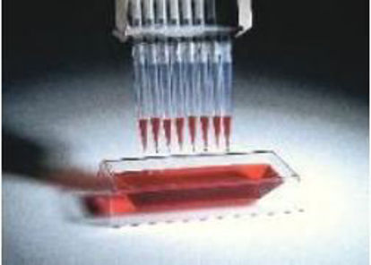 Picture of Solution Basin Labcor™ 55 mL Angled Side and V Shaped Bottom NonSterile21007-970