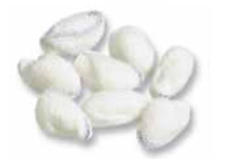 Picture of Peanut Sponge C-5 Holder 3/8 Inch10663