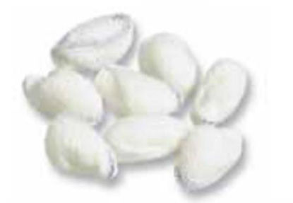 Picture of Peanut Sponge C-5 Holder 3/8 Inch10663