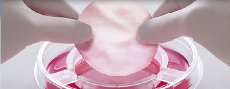 Picture of Skin Repair Therapy Apligraf®11USCOM01