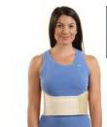 Picture of Rib Belt Medium Hook and Loop Closure 36 to 50 Inch Waist Circumference 6 Inch Width AdultVP10105-030