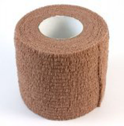 Picture of Cohesive Tape Dr. Jill's 2 Inch FootJ-BAN - 2" - TAN