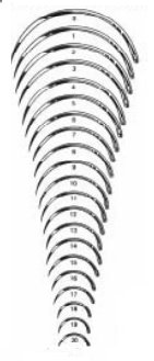 Picture of Suture Needle Integra® Miltex® 1/2 Circle Taper Point Needle Regular Surgeon's Type Size 16 NeedleMS192A-16