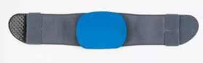 Picture of BACK BRACE, POSTO MIAMI LOS STD W/BCK SUPP GRY/BLUMLSO-256-2