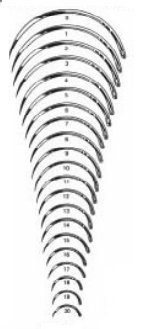 Picture of Suture Needle Integra® Miltex® 1/2 Circle Taper Point Needle Regular Surgeon's Type Size 10 NeedleMS192A-10