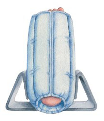 Picture of Foot Stabilizer Heel-Float™ Large Without Closure Foot503038