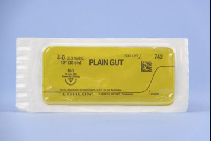 Picture of Suture with Needle Absorbable Uncoated Undyed Suture Plain Gut Size 4 - 0 12 Inch Suture 1-Needle 13 mm Length 1/2 Circle Reverse Cutting Needle742G