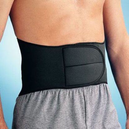 Picture of Lumbar Support Rolyan® X-Large @#$USER_ATTR$#@668708