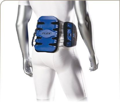 Picture of Lumbar Brace with Hot/Cold Pad Back Flex Small Hook and Loop Closure 28 to 34 Inch Waist Circumference @#$USER_ATTR$#@37301