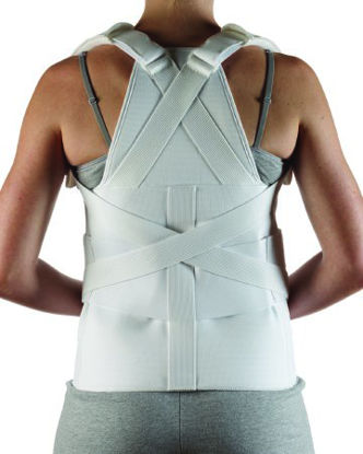 Picture of Back Support Medium 30 to 36 Inch Waist Circumference @#$USER_ATTR$#@35-1702-000