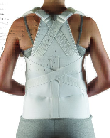 Picture of Back Support Large 36 to 42 Inch Waist Circumference @#$USER_ATTR$#@35-1703-000