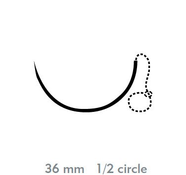 Picture of Suture with Needle Quill™ Variable Loop Device, Monoderm™ Absorbable Uncoated Violet Suture Barbed Monofilament Polyglycolic Acid / PCL Size 0 20 cm Suture 1-Needle 36 mm Length 1/2 Circle Taper Point NeedleVLM-1025