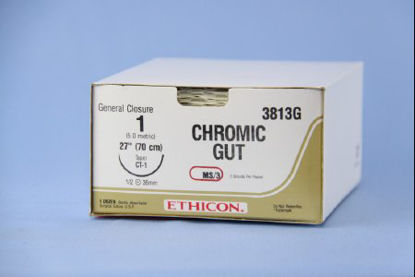 Picture of Suture with Needle Absorbable Uncoated Undyed Suture Chromic Gut Size 1 27 Inch Suture 1-Needle 36 mm Length 1/2 Circle Taper Point Needle3813G
