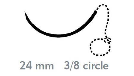 Picture of Suture with Needle Quill™ Variable Loop Device, Monoderm™ Absorbable Uncoated Violet Suture Barbed Monofilament Polyglycolic Acid / PCL Size 2 - 0 20 cm Suture 1-Needle 24 mm Length 3/8 Circle Precision Reverse Cutting NeedleVLM-1023