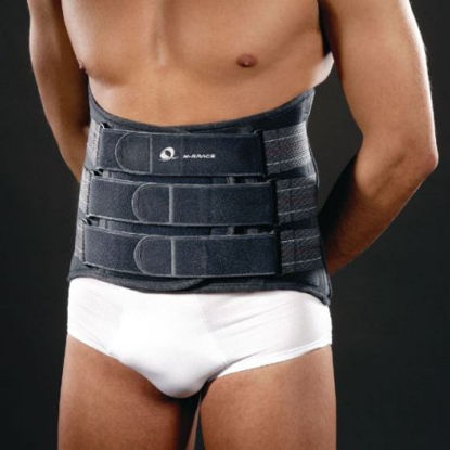 Picture of Back Brace Large 13 Inch Adult55009903